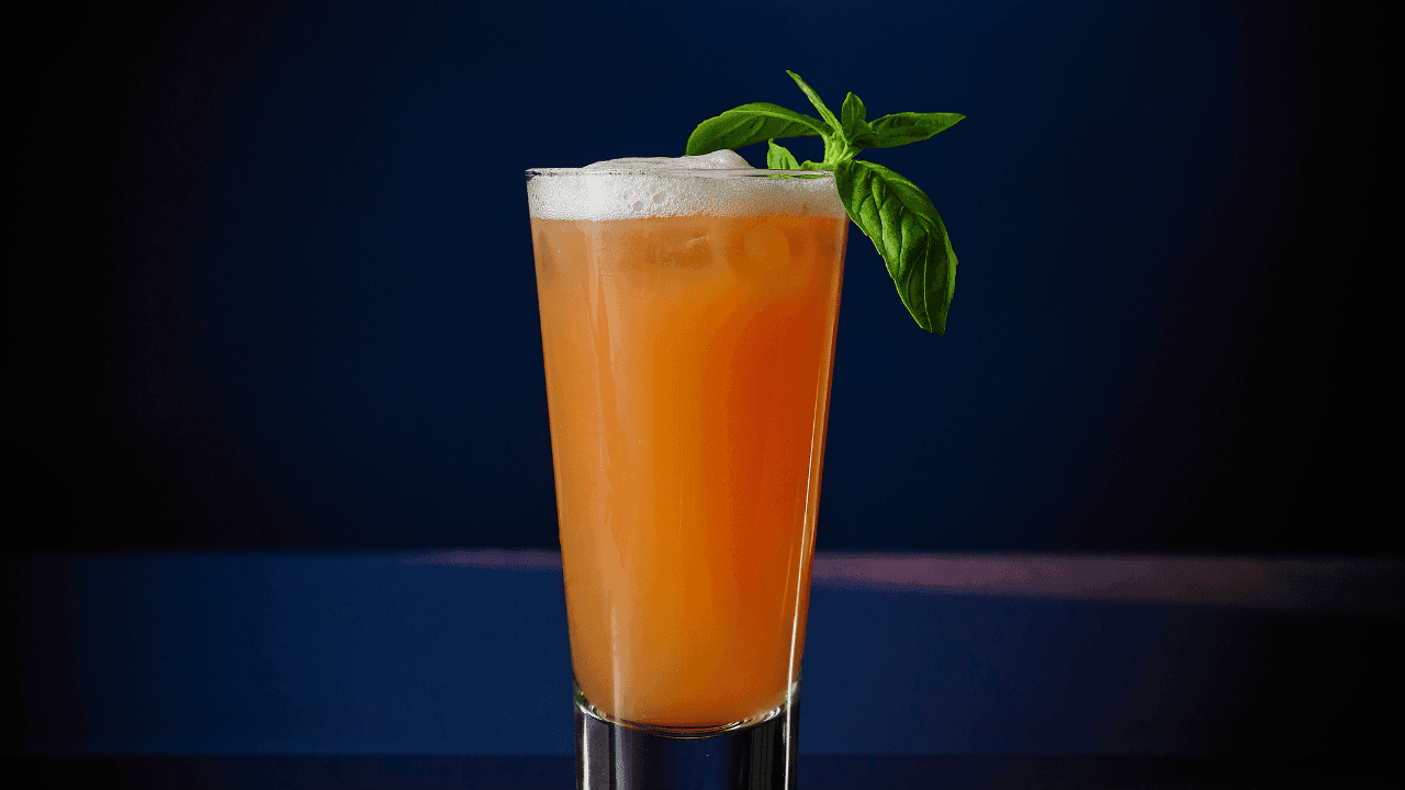 Refreshing Greyhound Drink Recipe Citrus Bliss 1 Greyhound Drink Recipe