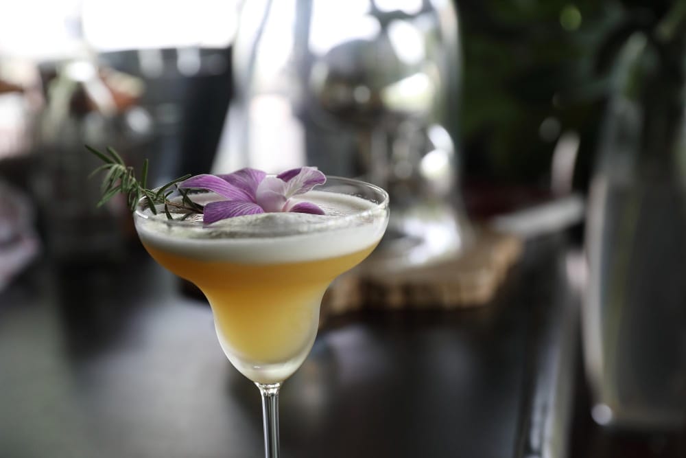 How to make a sidecar cocktail