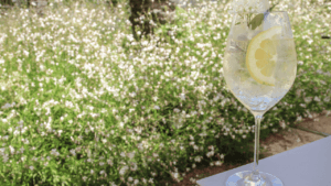 Best Craft Cocktails