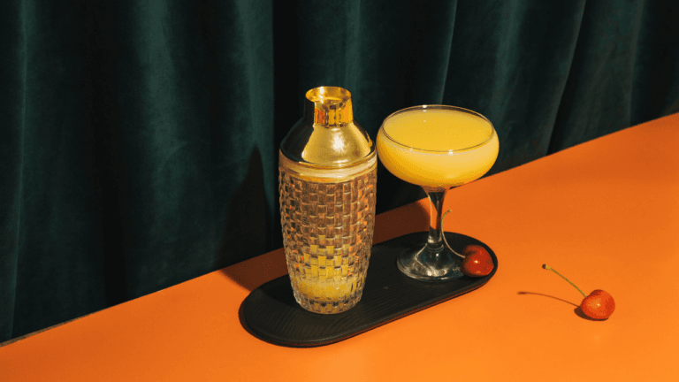 Master Drinks with Shaker Mix Like a Pro 21 Drinks with Shaker