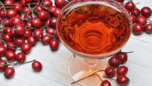 Hawthorne Cocktail Strainer