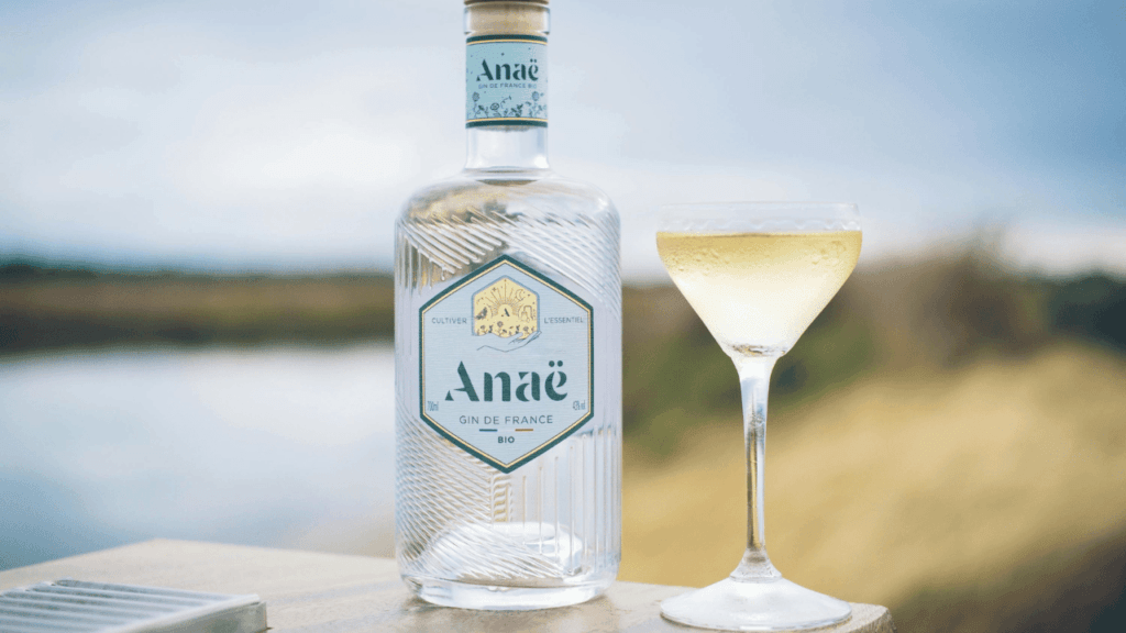 Premium best Gin for Bee's Knees Cocktail
