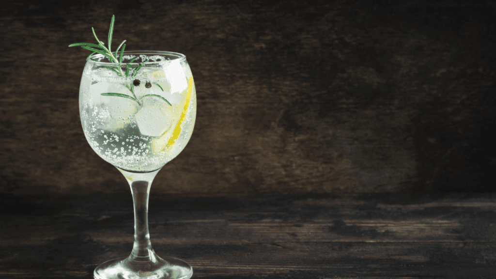 The Best Gin for Gin and Tonic Cocktails
