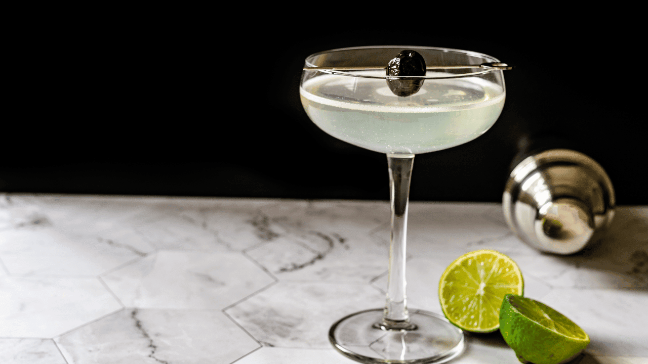 Discover the Best Gins for the Perfect Last Word 1 The Best Gin Picks for the Perfect Last Word